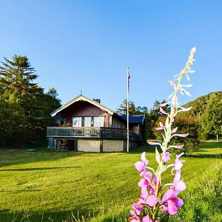 Tatil Evi Holiday